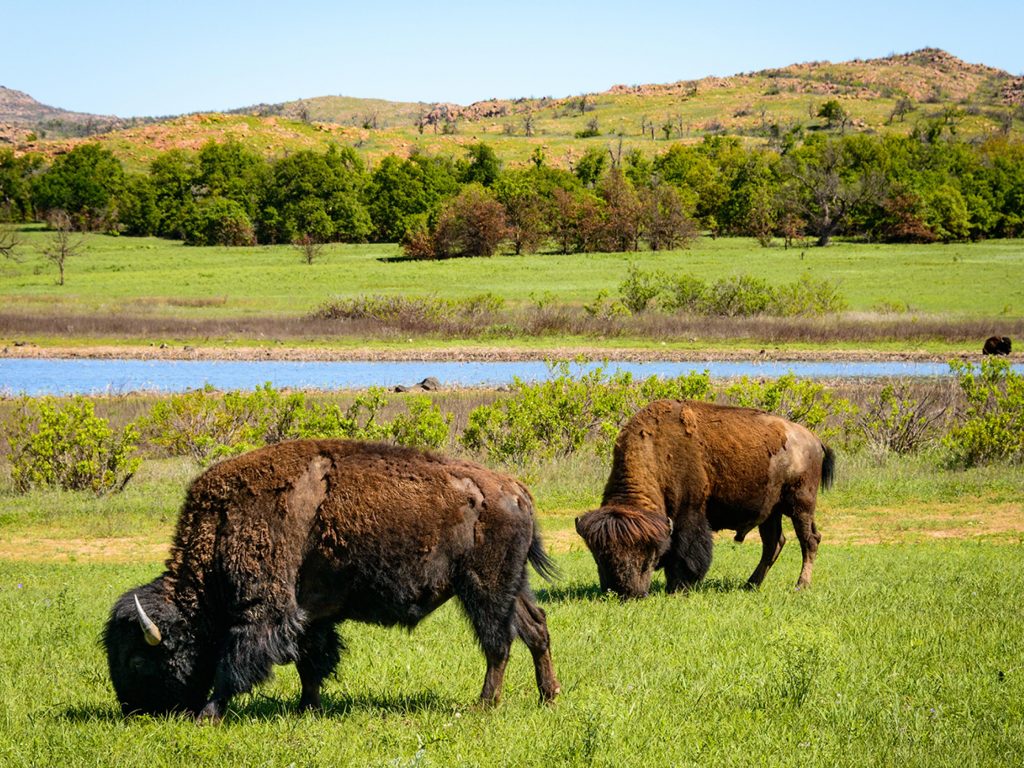 Oklahoma - Wichita Mountains Scenic byway
