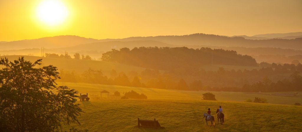 Virginie - Virginia Horse Center