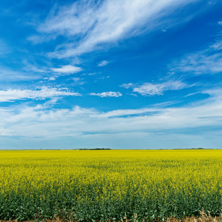 Saskatchewan