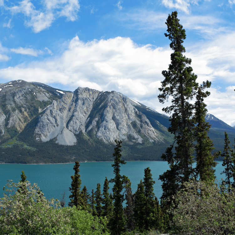 Yukon