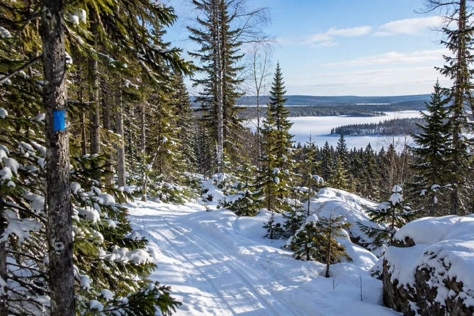 les sentiers du parc national d’Aiguebelle, secteur Mont-Brun