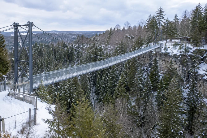 Le pont suspendu de Scenic Caves