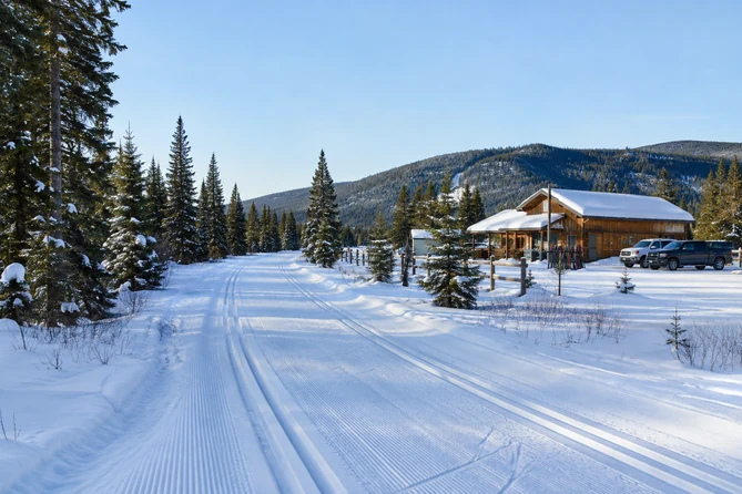 Dawn Mountain Nordic Centre, près de Golden