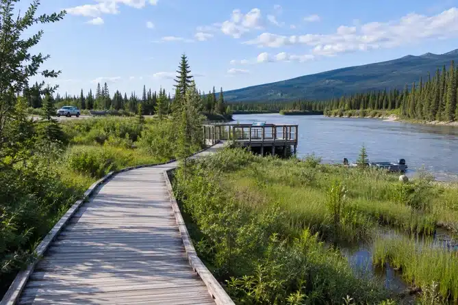 le sentier de la rivière Dezadeash, près de Haines Junction