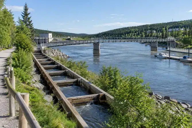 la passe migratoire de Whitehorse, au bord du fleuve Yukon