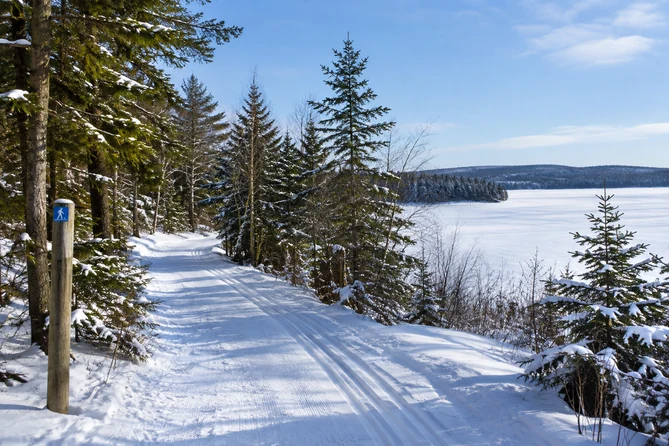 les sentiers multifonctionnels du parc régional du Lac Taureau